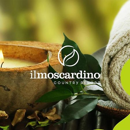 Il Moscardino Country Resort 塞拉圣布鲁诺 外观 照片